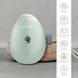 Електронний освіжувач для зволоження обличчя GESKE Facial Hydration Refresher 4 в 1, green HB0173 фото 3