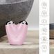 Микротоковый подтягиватель кожи лица GESKE MicroCurrent Face-Lifter 6 в 1, pink HB0137 фото 3